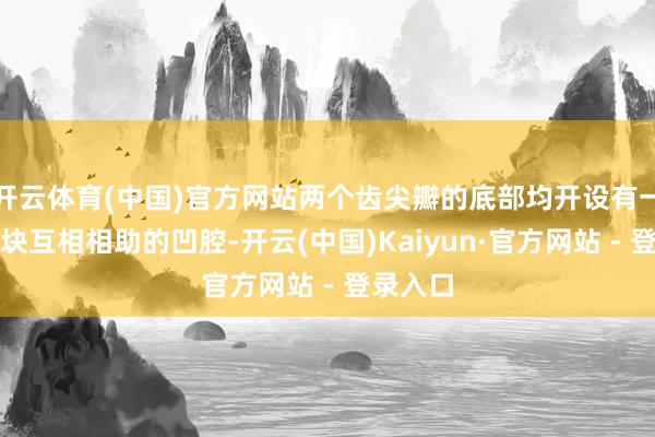 开云体育(中国)官方网站两个齿尖瓣的底部均开设有一个与侧块互相相助的凹腔-开云(中国)Kaiyun·官方网站 - 登录入口