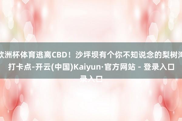欧洲杯体育逃离CBD！沙坪坝有个你不知说念的梨树湾打卡点-开