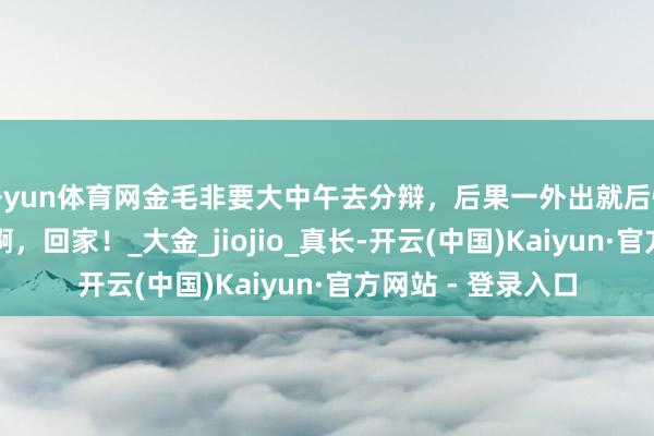 开yun体育网金毛非要大中午去分辩，后果一外出就后悔了：咋这样烫脚啊，回家！_大金_jiojio_真长-开云(中国)Kaiyun·官方网站 - 登录入口