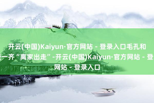 开云(中国)Kaiyun·官方网站 - 登录入口毛孔和粉底液