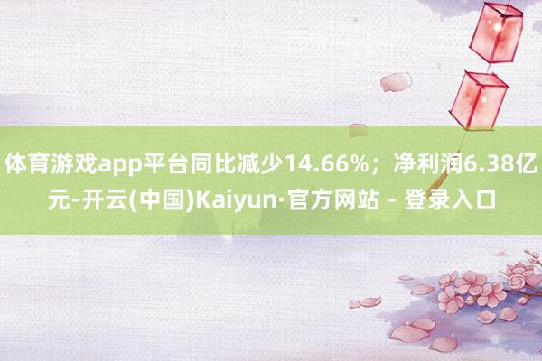 体育游戏app平台同比减少14.66%;净利润6.38亿元-开云(中国)Kaiyun·官方网站 - 登录入口