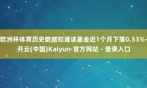 欧洲杯体育历史数据知道该基金近1个月下落0.53%-开云(中国)Kaiyun·官方网站 - 登录入口