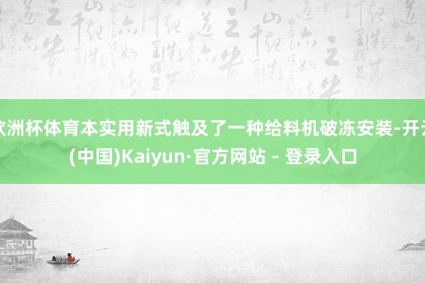 欧洲杯体育本实用新式触及了一种给料机破冻安装-开云(中国)Kaiyun·官方网站 - 登录入口