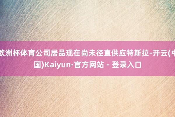 欧洲杯体育公司居品现在尚未径直供应特斯拉-开云(中国)Kaiyun·官方网站 - 登录入口