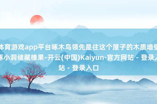 体育游戏app平台啄木鸟领先是往这个屋子的木质墙壁上啄小洞储藏橡果-开云(中国)Kaiyun·官方网站 - 登录入口